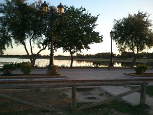 Vue au Doñana du El Rocio