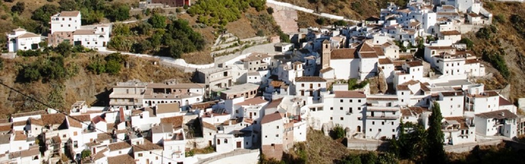 les petits villages blanchis à la chaux d'Andalousie: Salares