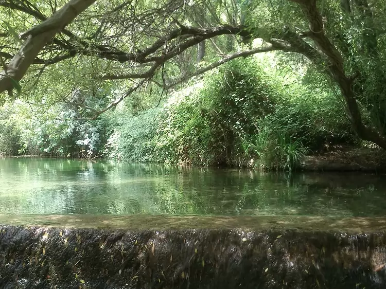 Sierra de las Nieves parc naturelle