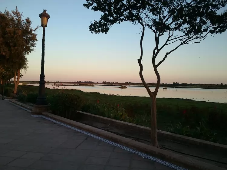 El Rocio près du parc national de Doñana Vue au Doñana du El Rocio