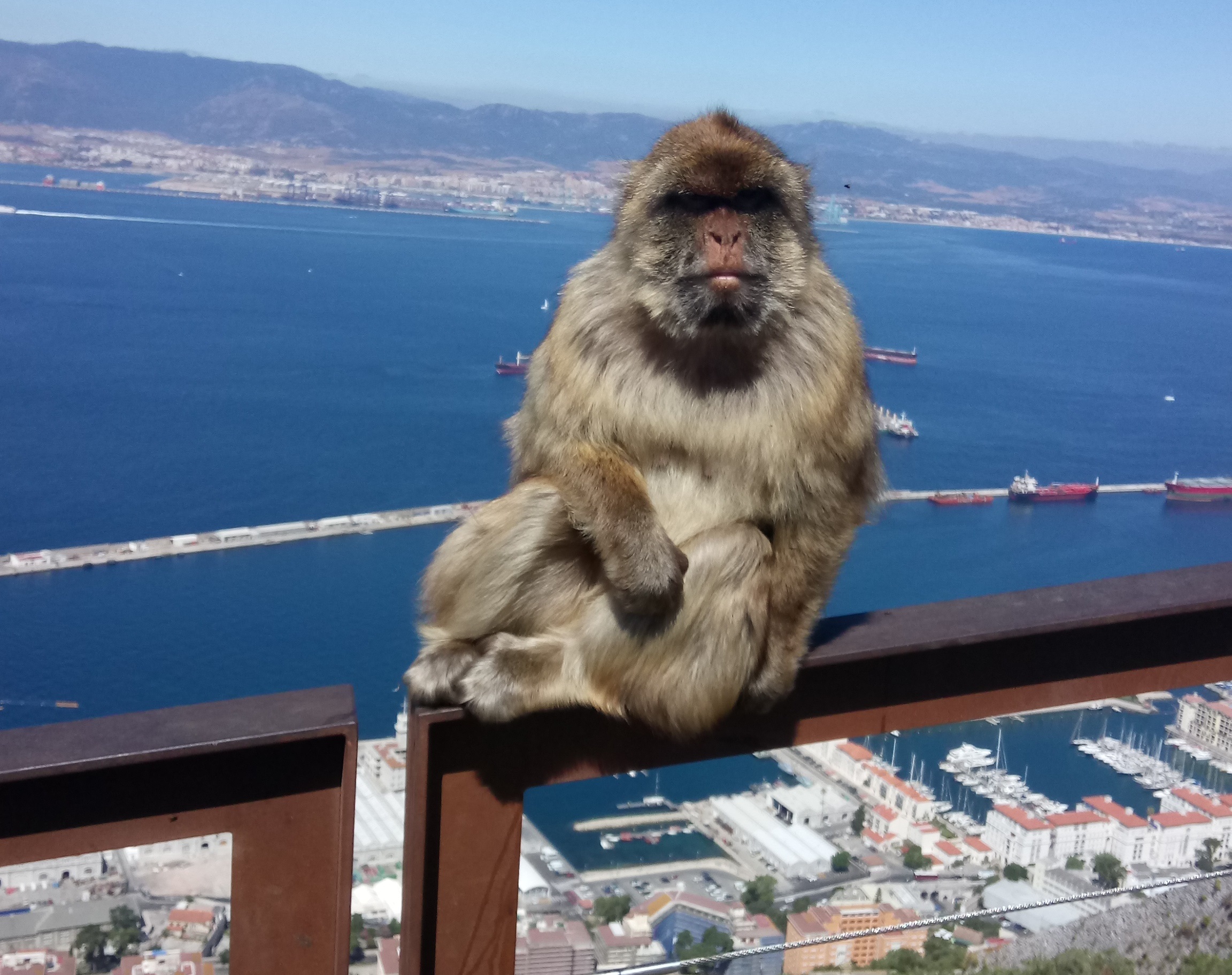 Découvrez la vue imprenable de Gibraltar lors d'une courte visite