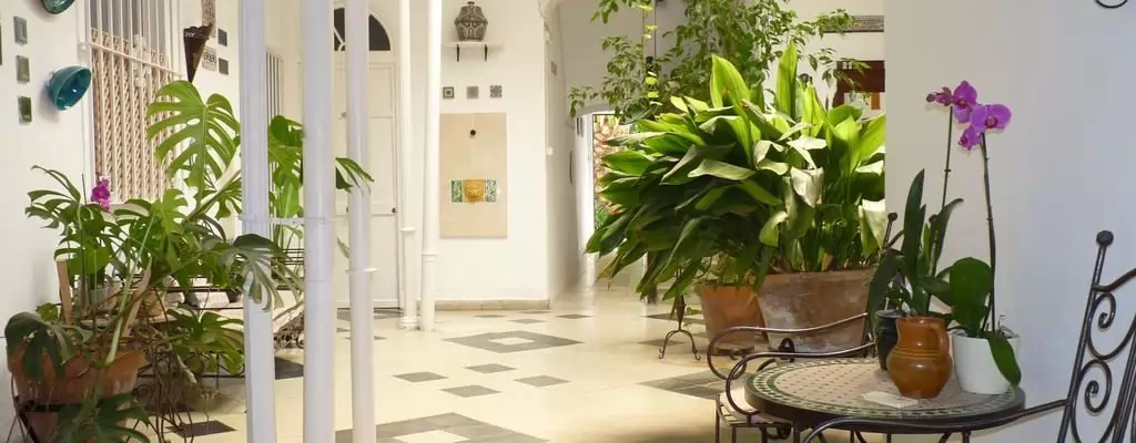 Jerez de la Frontera Patio Apartment 16537